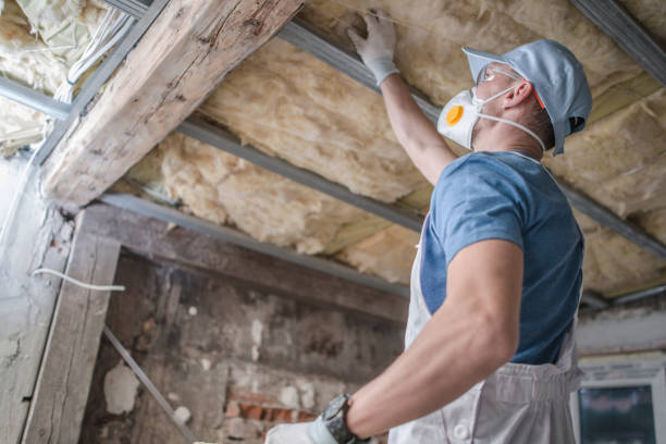 Best Insulation Removal  in Pocono Ranch Lands, PA