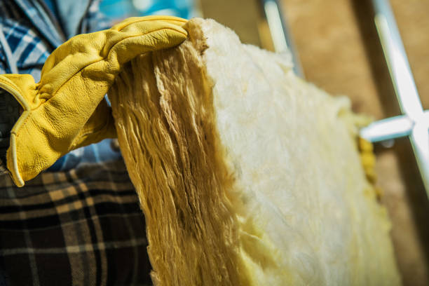Best Insulation for New Construction  in Pocono Ranch Lands, PA
