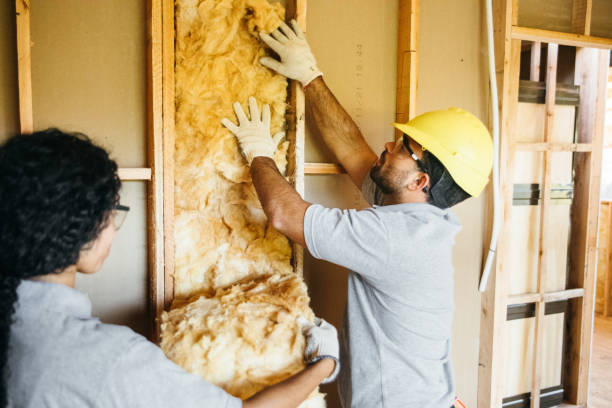 Best Spray Foam Insulation  in Pocono Ranch Lands, PA