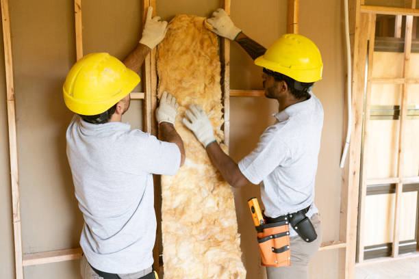Best Best Insulation Companies  in Pocono Ranch Lands, PA